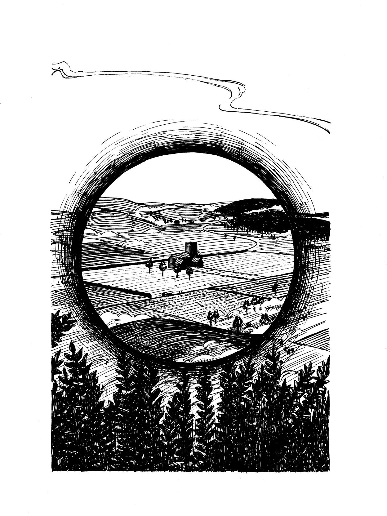 Illustration for A View from a Hill by M. R. James. Compiled in Murmurs. Non-commercial. Pen and ink, 2025.